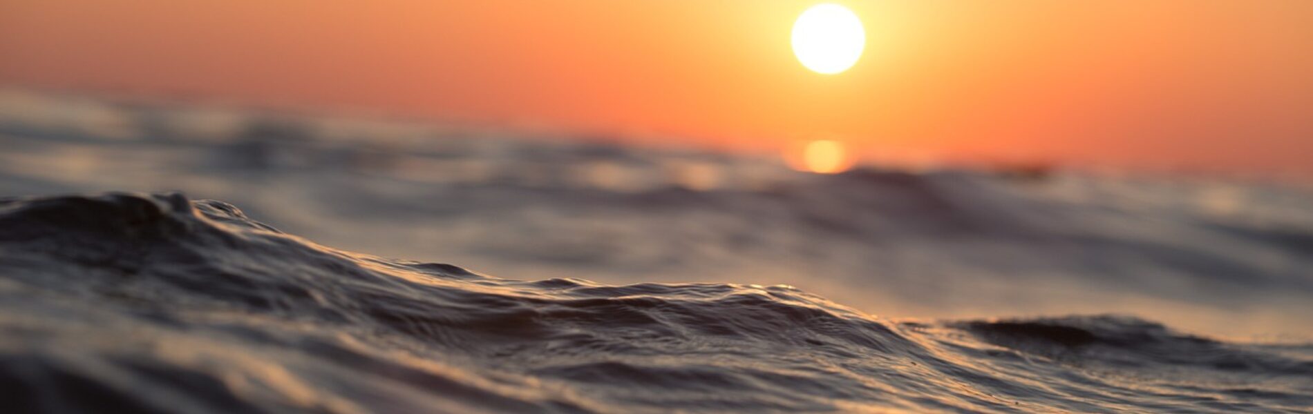 太陽と水面